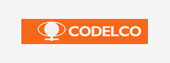 CODELCO公司